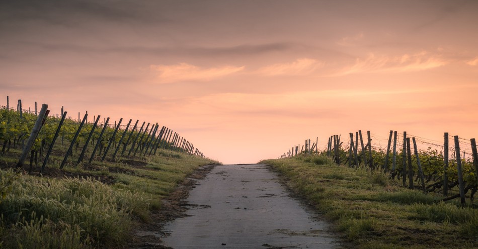 10 Prayers for Guidance from God's Wisdom and Help