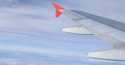 How Can Christians Model Patience, Positivity, and Love in the Long Airport Lines?