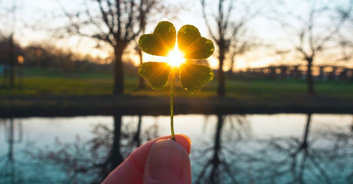 Four-leaf clover, st. patrick's day quotes and blessings