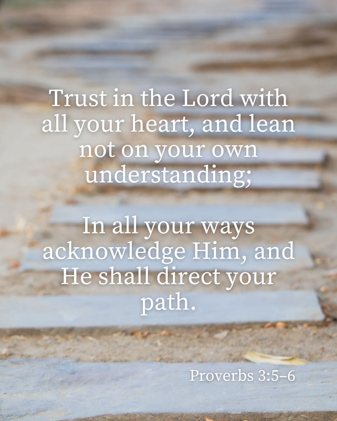 Proverbs 3:5–6
