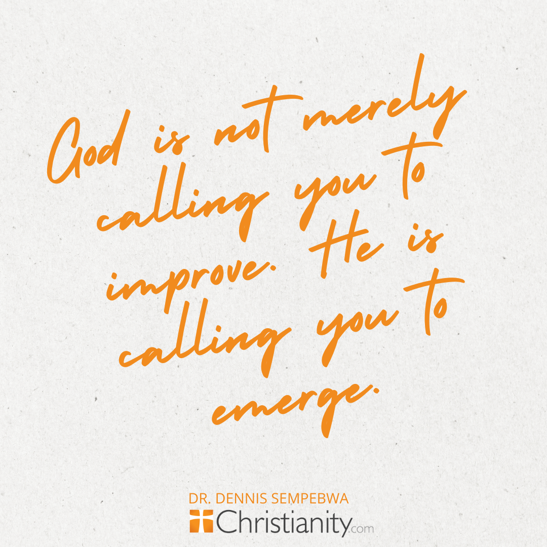 Quote from an article about New Years Resolutions