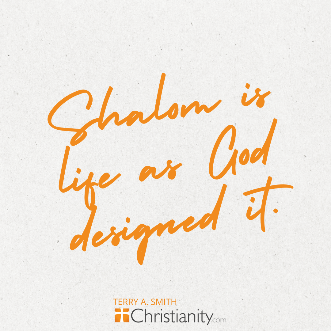 Quote from an article about cultivating peace in your life